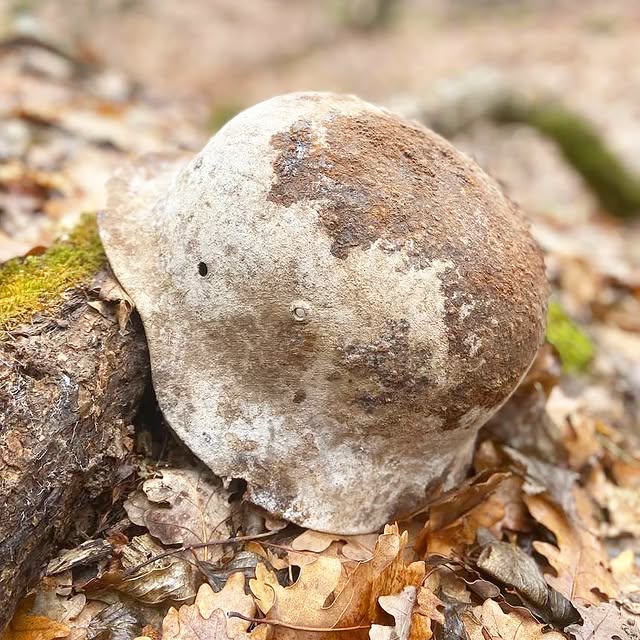 German helmet, World War II🪖 #metaldetecting #mydigworld #ww2 #dirtfishing #hobbydetecting".