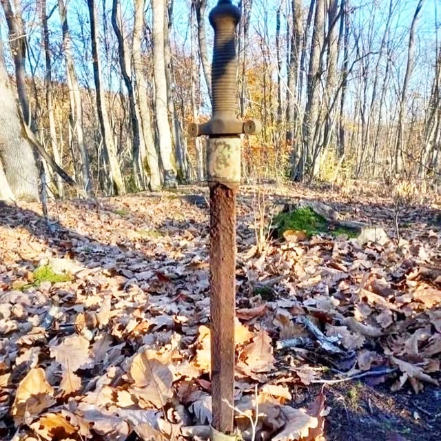 Officer's dagger 🗡🗡🗡 #metaldetecting #mydigworld #ww2 #dirtfishing #hobbydetecting".