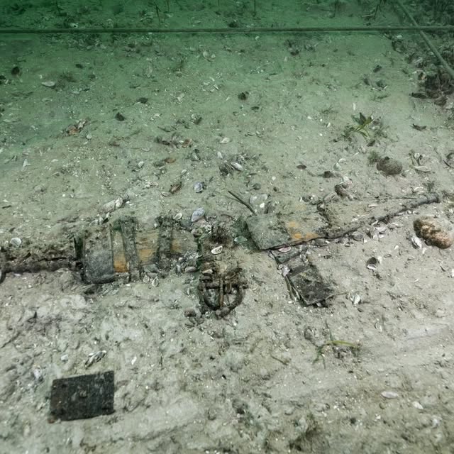 The discovery site was kept secret, and surveillance cameras were installed at the bottom—the cargo lying in Lake Neuchâtel, Switzerland, was too valuable. A November day in 2024 o