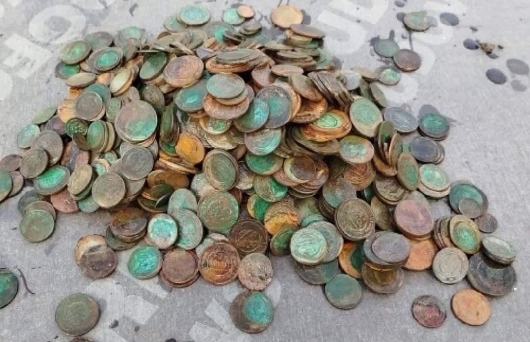 Nice treasure 😏✊🙃 #metaldetecting #mydigworld #ww2 #dirtfishing #hobbydetecting