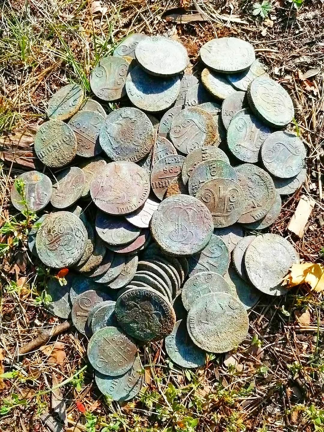 A small hoard of fairly large copper coins from 1800. Large coins from the reign of the Russian Emperor Paul I. Beautiful! ♥️♥️♥️♥️♥️♥️♥️♥️ 😎😏🍀👍💥🤯😮✊ #metaldetecting #mydigworld #co