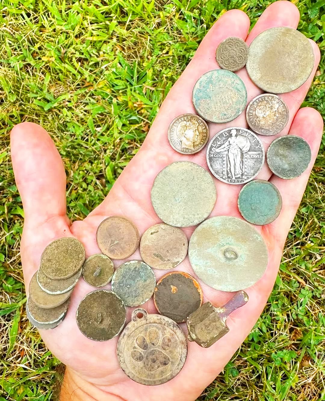 @nj_coinhunter