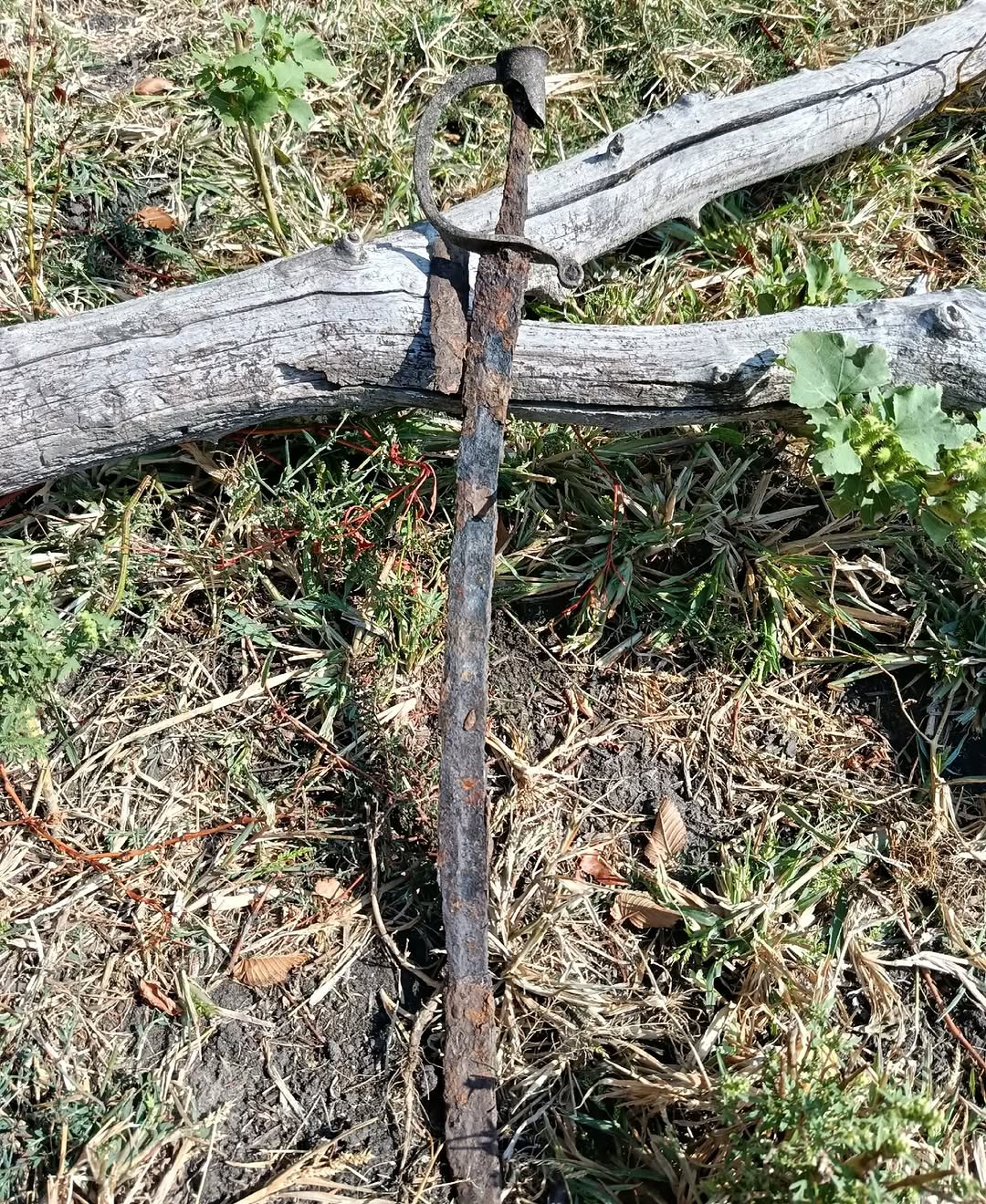 The saber is in excellent condition 👍 #metaldetecting #mydigworld #coin #dirtfishing #hobbydetecting